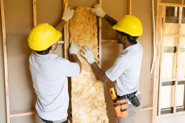 Garage Insulation Installation in New Orleans Station, LA