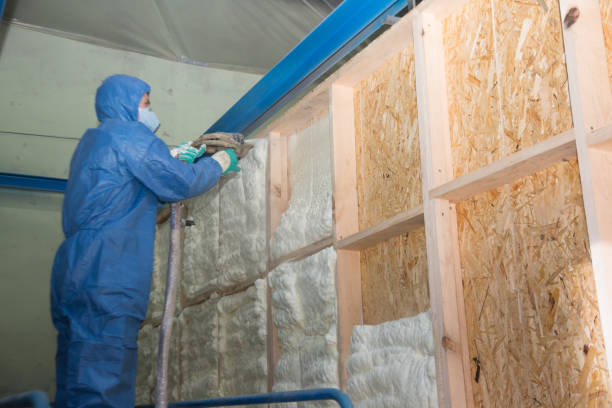 Best Affordable Insulation Services  in New Orleans Station, LA